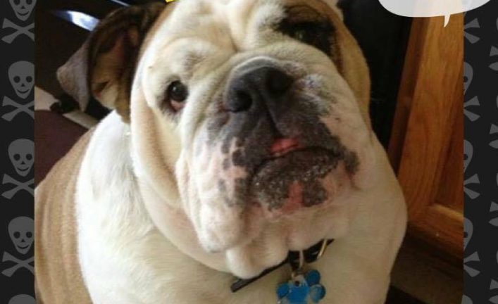 Bosley