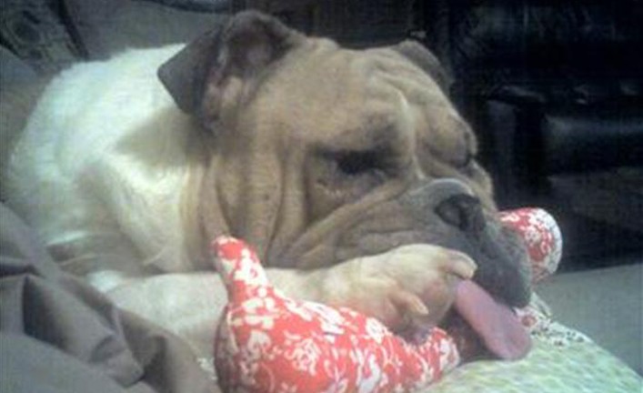 Junebug