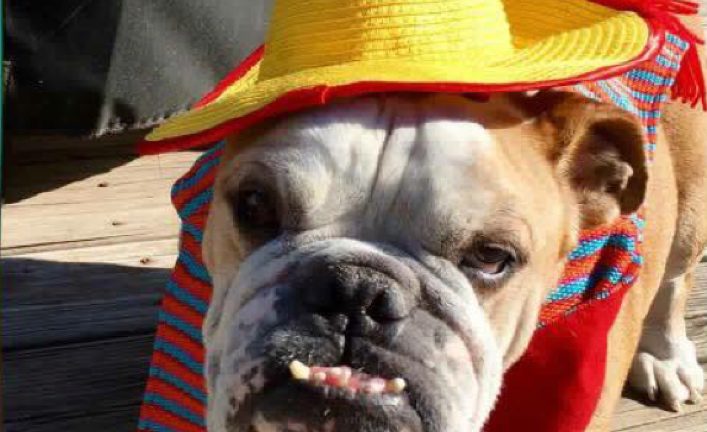 Farley