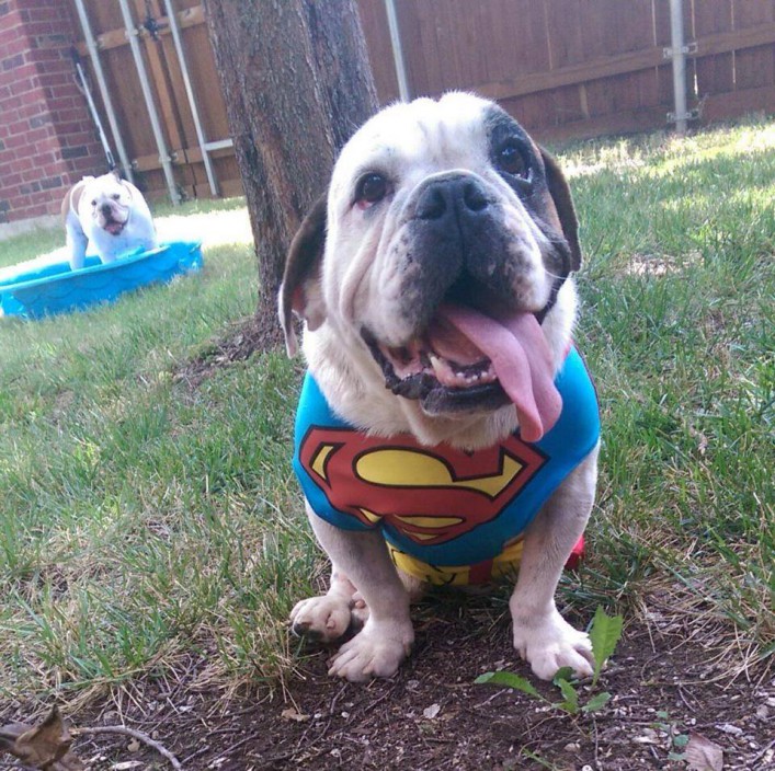 Sam