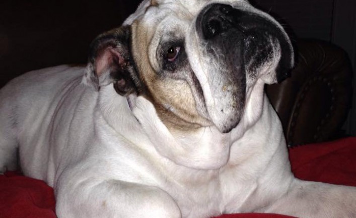 Ruby