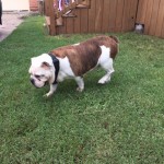 Chloe
