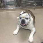 Ethel
