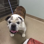 Ethel