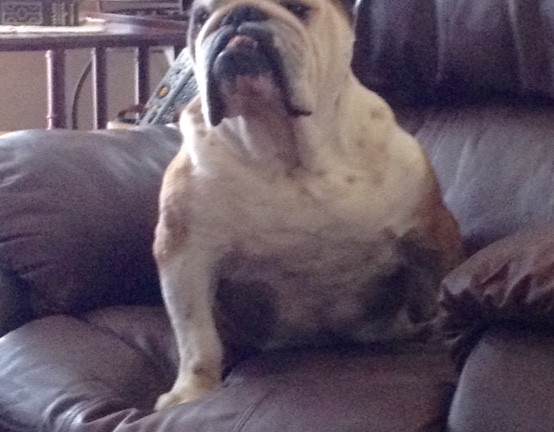 Hercules