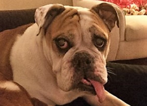 Lola Louise