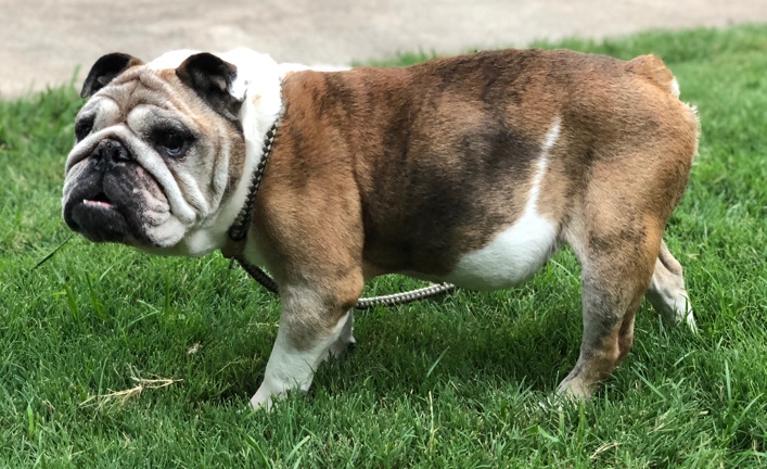 Lola Jane
