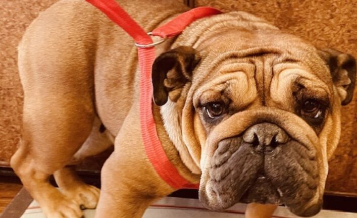 Ruby Wrinkles